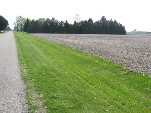Property photo 19 - 172 Acres Offered in 3 Tracts - Prime Farmland